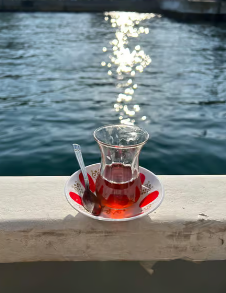 Istanbul: Round-Trip Ferry Tickets to the Princes' Islands | ®ExcursionMania