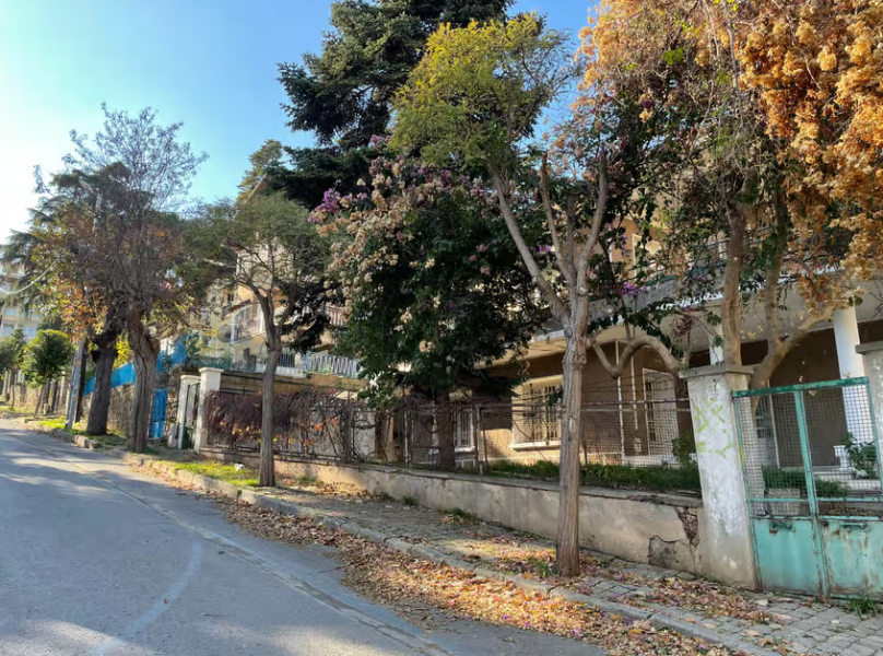 Istanbul: Round-Trip Ferry Tickets to the Princes' Islands | ®ExcursionMania