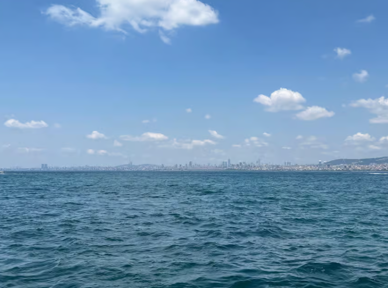 Istanbul: Round-Trip Ferry Tickets to the Princes' Islands | ®ExcursionMania