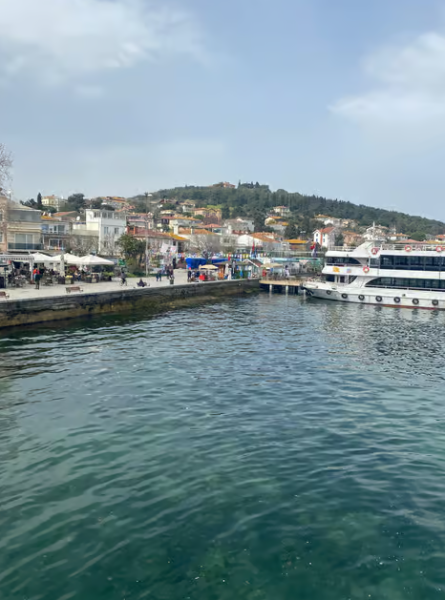 Istanbul: Round-Trip Ferry Tickets to the Princes' Islands | ®ExcursionMania