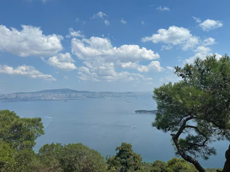 Istanbul: Round-Trip Ferry Tickets to the Princes' Islands | ®ExcursionMania