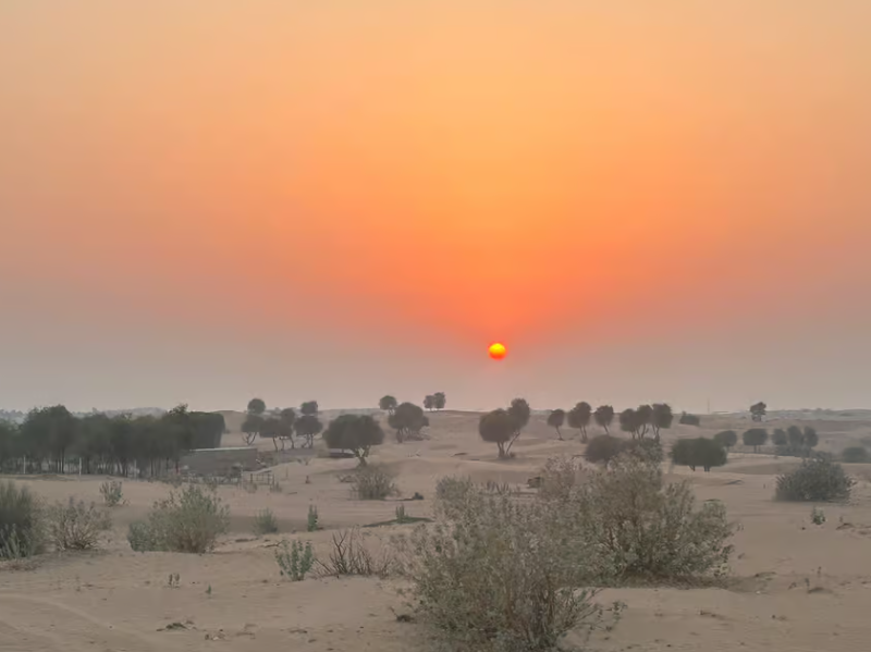 Dubai: Premium Safari, Camel Ride & Al Khayma Camp 3-Buffets | ®ExcursionMania