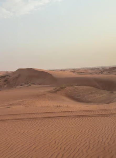 Dubai: Premium Safari, Camel Ride & Al Khayma Camp 3-Buffets | ®ExcursionMania