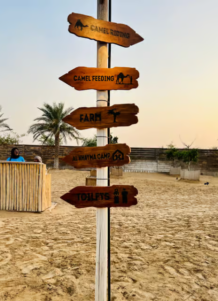 Dubai: Premium Safari, Camel Ride & Al Khayma Camp 3-Buffets | ®ExcursionMania