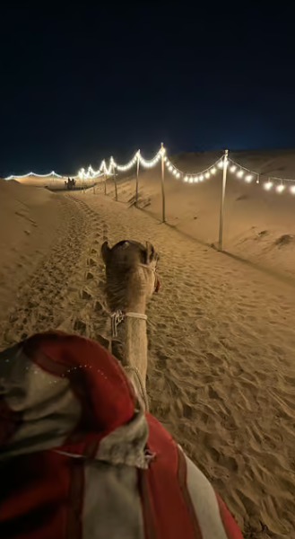 Dubai: Premium Safari, Camel Ride & Al Khayma Camp 3-Buffets | ®ExcursionMania