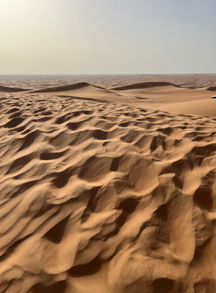 Dubai: Premium Safari, Camel Ride & Al Khayma Camp 3-Buffets | ®ExcursionMania