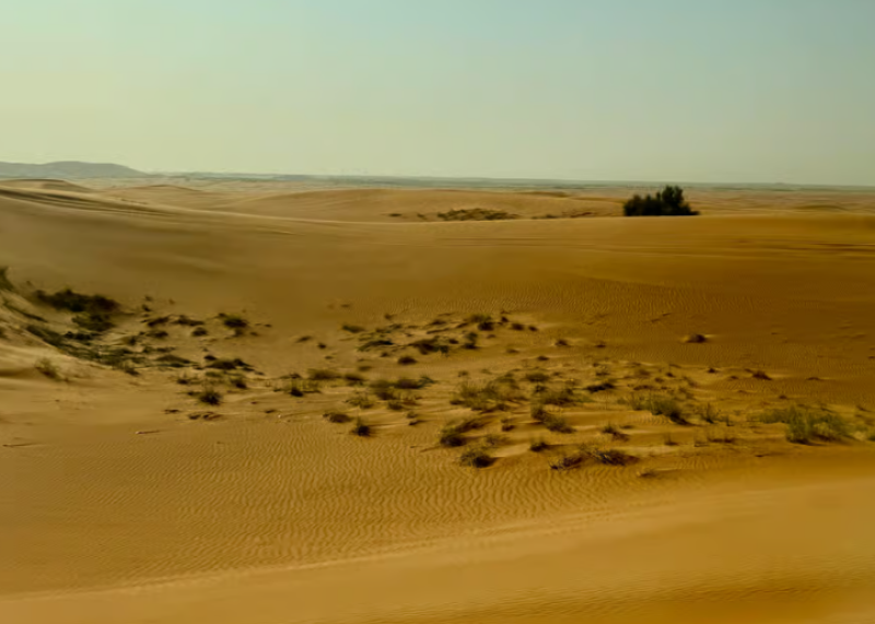 Dubai: Premium Safari, Camel Ride & Al Khayma Camp 3-Buffets | ®ExcursionMania