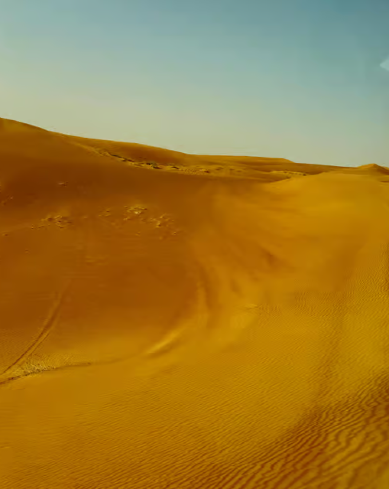 Dubai: Premium Safari, Camel Ride & Al Khayma Camp 3-Buffets | ®ExcursionMania