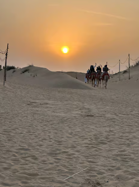 Dubai: Premium Safari, Camel Ride & Al Khayma Camp 3-Buffets | ®ExcursionMania