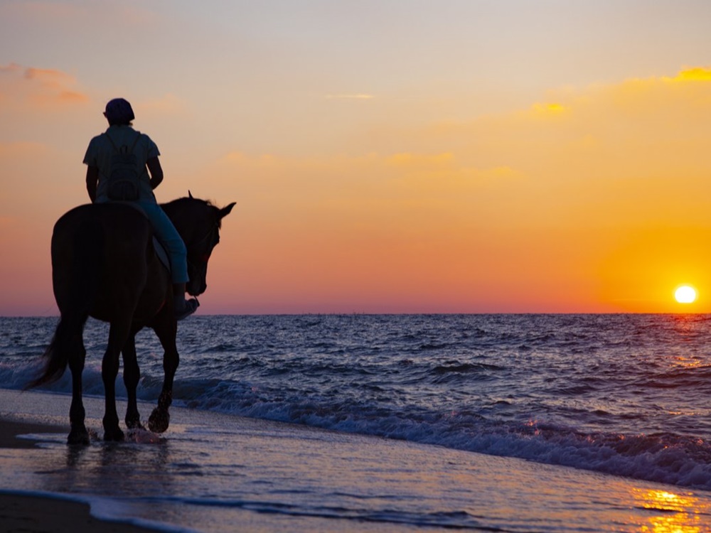 Antalya Horse Riding at Sunrise