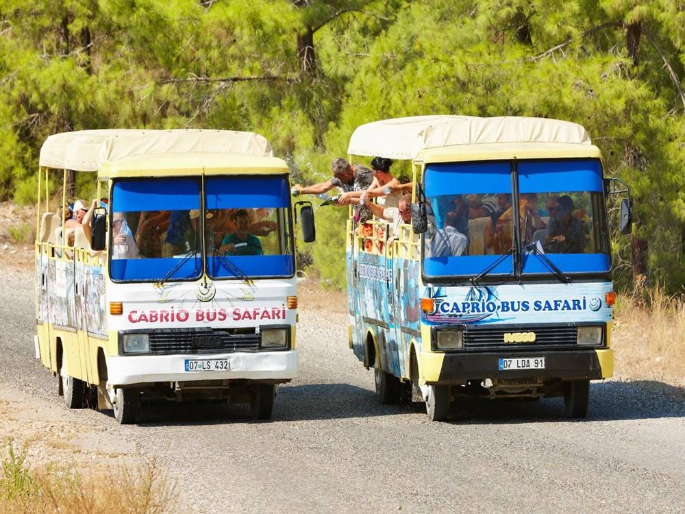 Side Cabrio Bus Safari