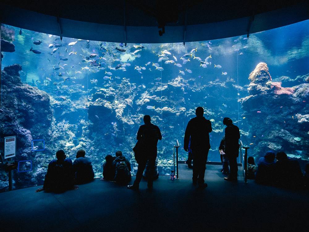 Side Antalya Aquarium Tour