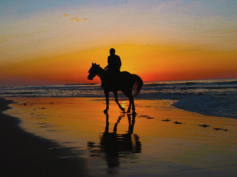 Belek Horse Riding at Sunset