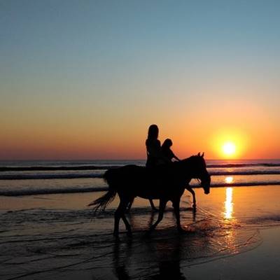 Antalya Horse Riding at Sunset