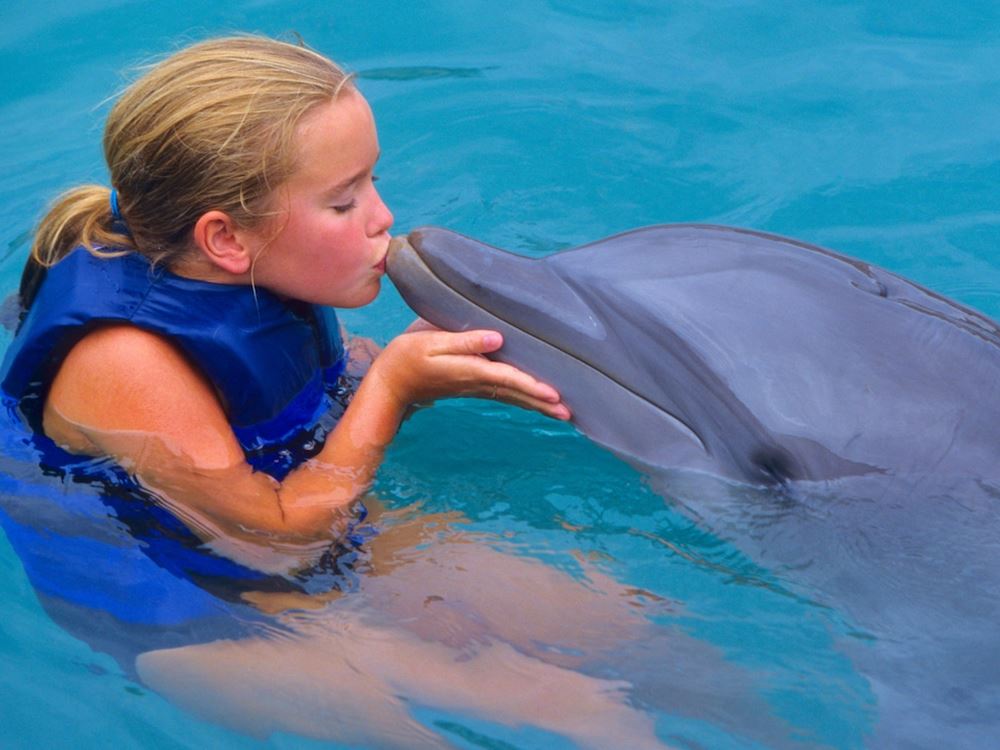 Icmeler Swim With Dolphins