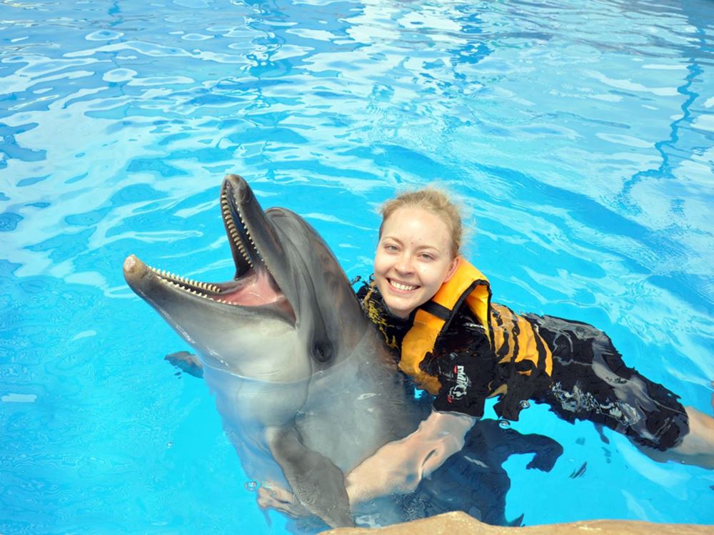 Icmeler Swim With Dolphins