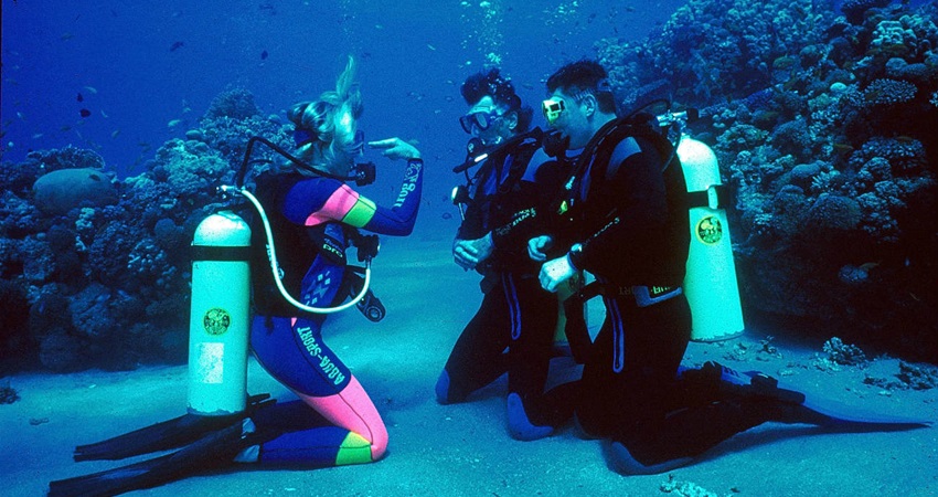 bodrum diving tour