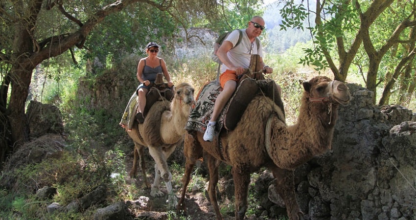 Fethiye Camel Riding