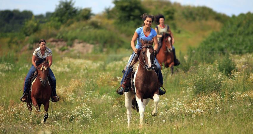 Fethiye Horse Riding