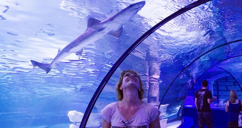 Antalya Aquarium Tour