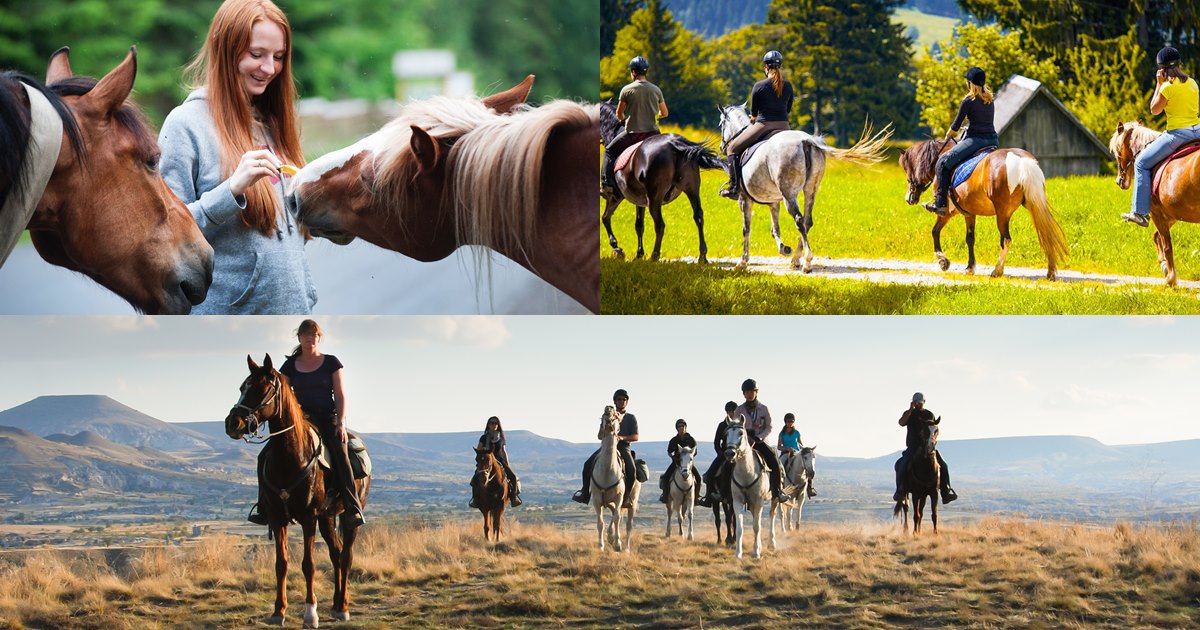 Selcuk Horse Safari | Horseback Riding From Selcuk | Excursion Mania