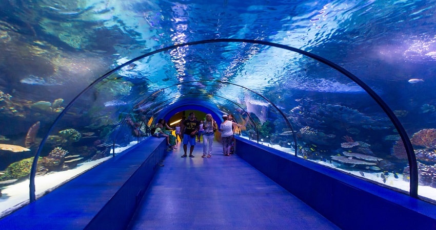 Kemer Antalya Aquarium