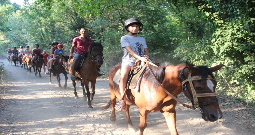 Kemer Horse Safari