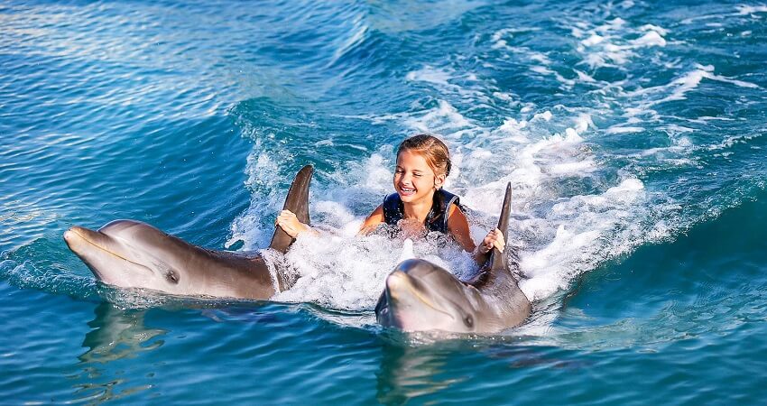 Kemer Swimming with Dolphins