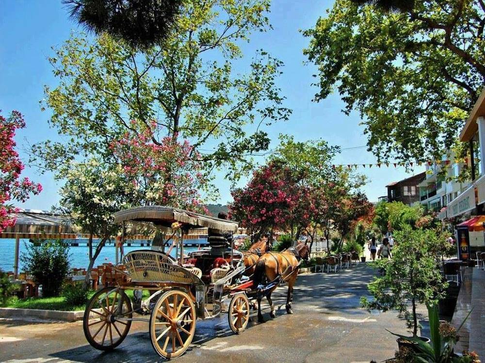 Princess Island Tour From Istanbul