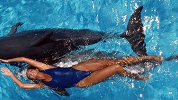 bodrum swimming with dolphins
