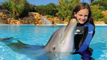 antalya swim with dolphins