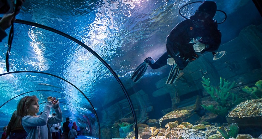 Antalya Aquarium From Belek