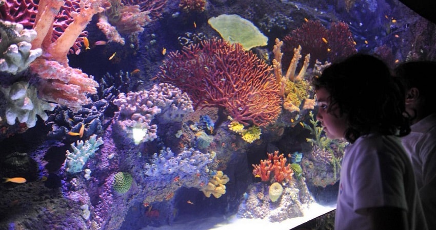 Antalya Aquarium From Belek