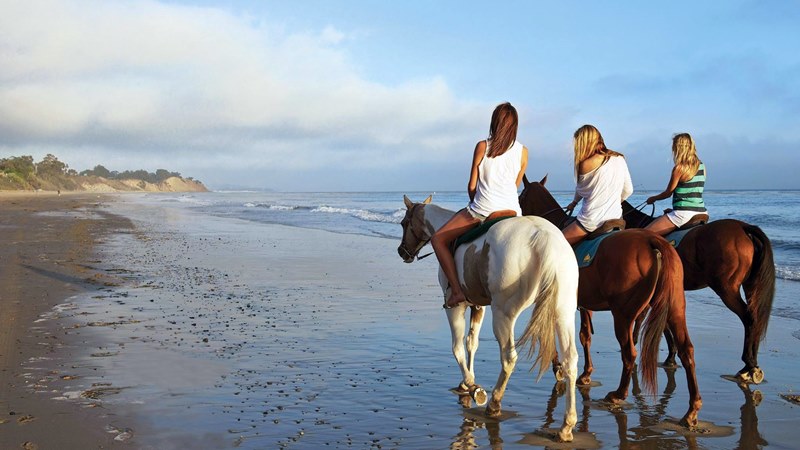 Horseback riding on the beach in Belek Antalya