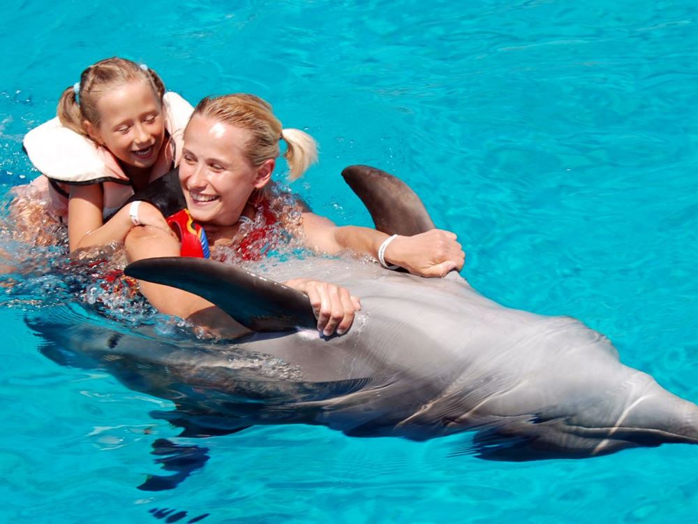 Swimming with dolphins in Alanya