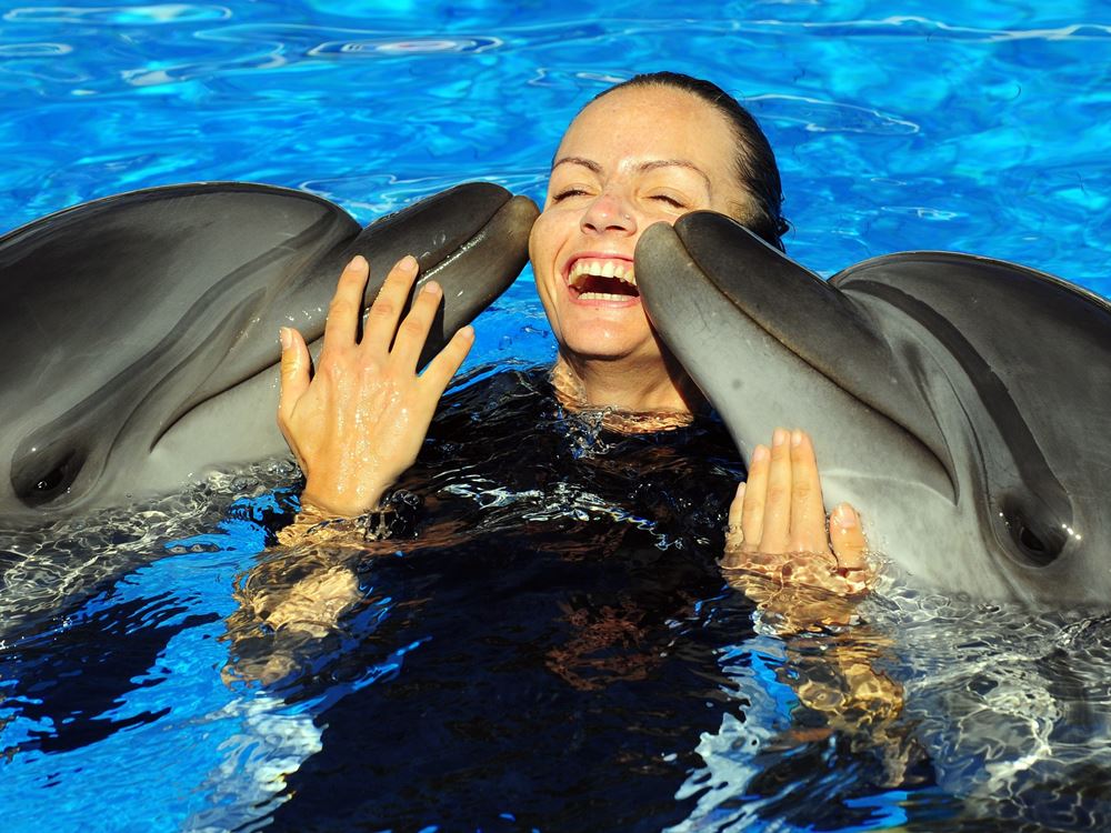Swimming with dolphins in Alanya