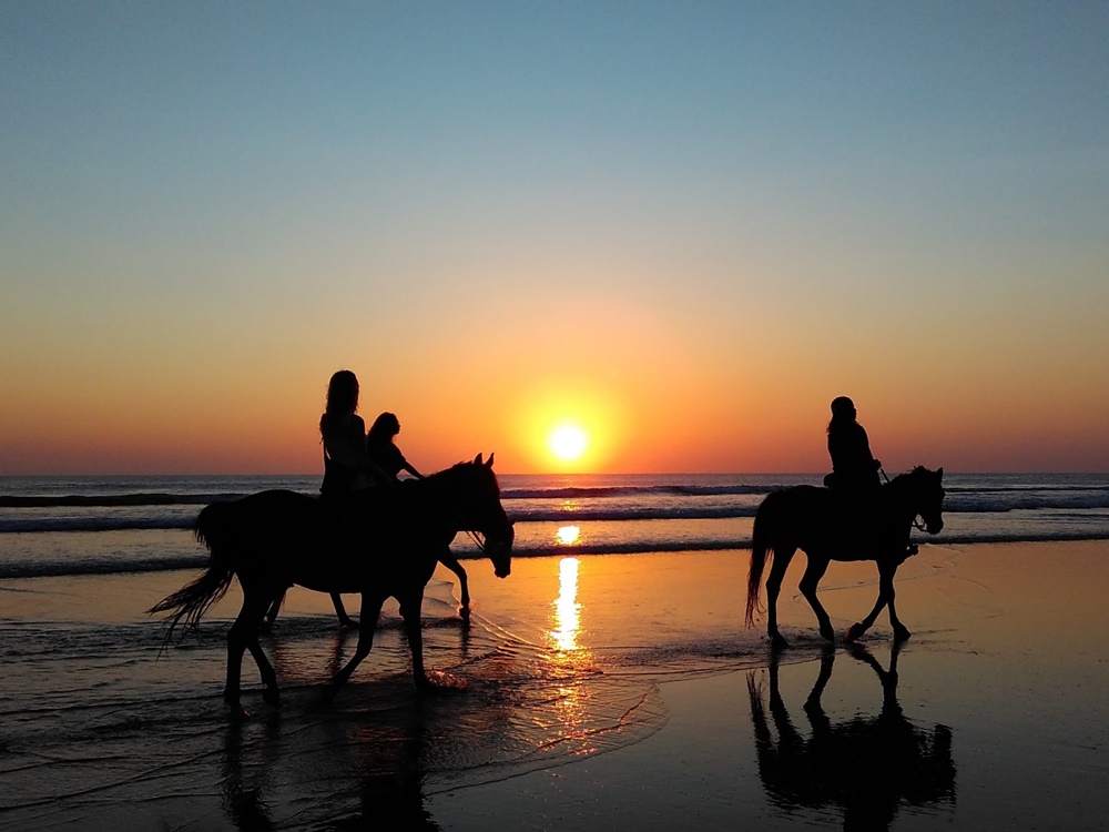 Antalya Horse Riding at Sunset