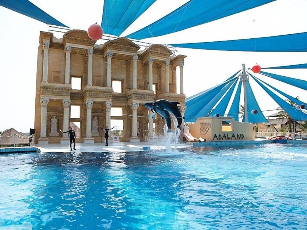 Dolphins and Sea Lion Show in Kusadasi